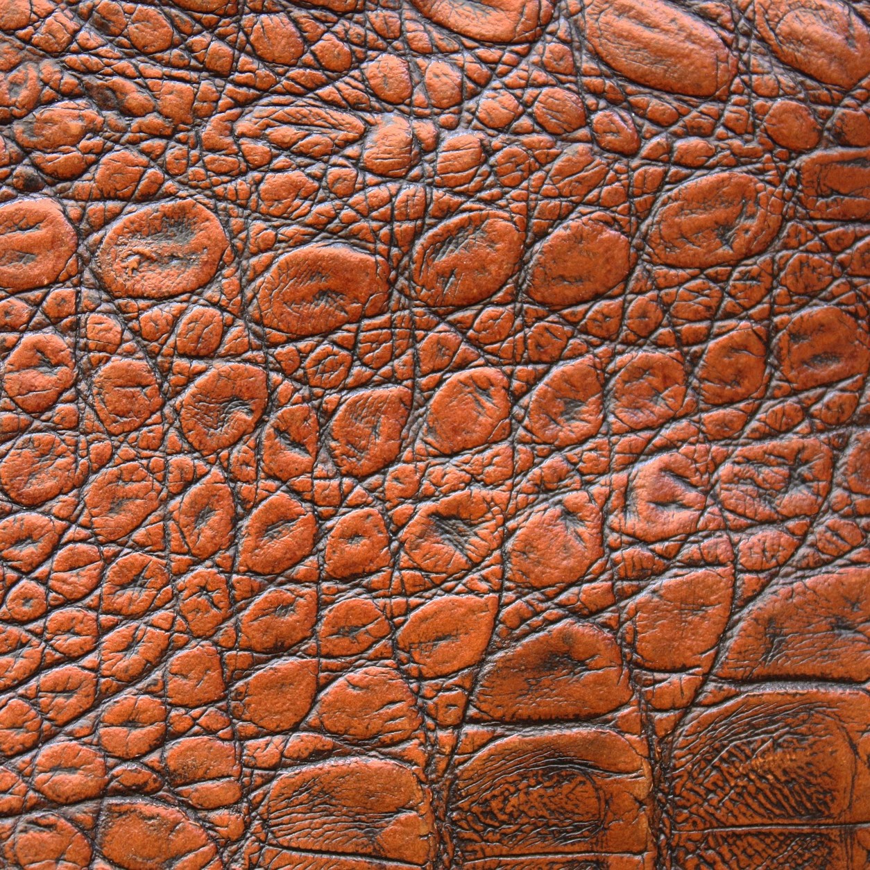 Piel con textura de cocodrilo